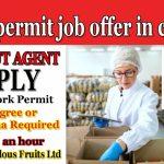 work permit job offer in canada