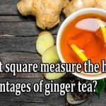 What square measure the health advantages of ginger tea?