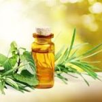 tea tree oil