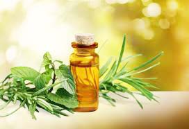 tea tree oil