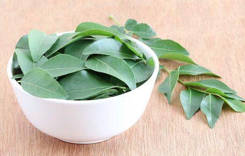 What are the benefits of including curry leaves in a diet?