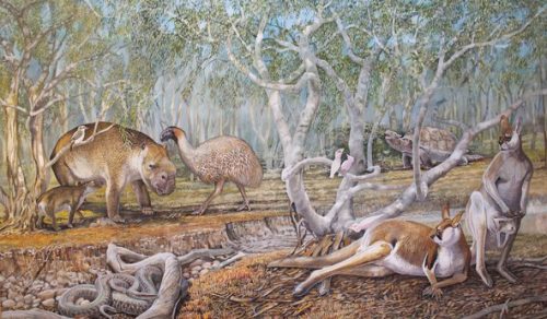 What interesting megafauna did Australia once have?