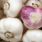 Is Garlic good for the heart?