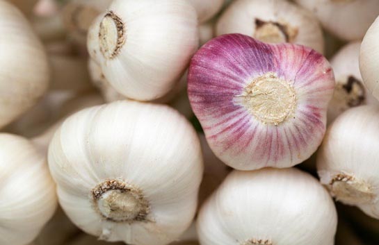 Is Garlic good for the heart?