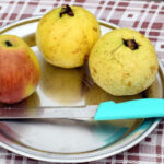 Which is best fruit, an apple or guava?