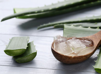 Is Aloe Vera good for both hairs and skin?