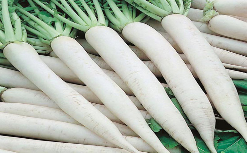 Health benefits of radish