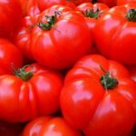 What are the advantages of eating tomatoes?