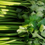 What are the benefits of eating celery in the morning on an empty stomach?