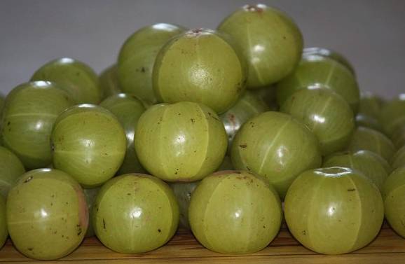 What are the benefits of eating one amla daily?