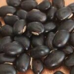 What are the health benefits of Kaunch seeds (Mucuna Pruriens) and how it is taken?