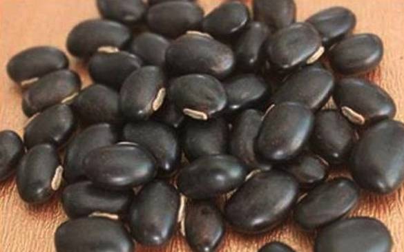 What are the health benefits of Kaunch seeds (Mucuna Pruriens) and how it is taken?