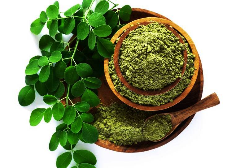 What are the health benefits of Moringa hams?