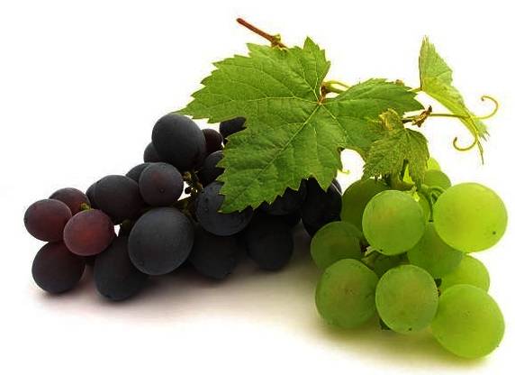 Which are better for health, green grapes or black grapes?