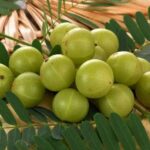 What are the health benefits of eating gooseberries?