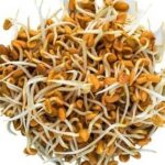 What are the benefits of eating picked fenugreek?