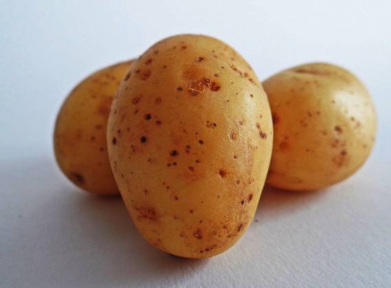 Does boiling potatoes remove nutrients?