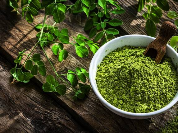 What are the health benefits of moringa during the downtime?