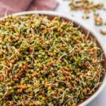 What are the health benefits of eating sprouts daily?