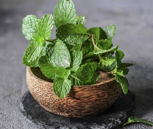 Health benefits of eating mint leaves everyday?