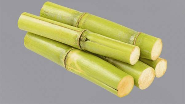 Can a diabetic case eat sugarcane and beetroot?