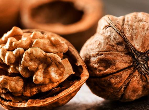 Nutrients abdundantly set up in walnuts?