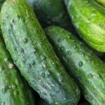 What are the health benefits of eating cucumber daily?