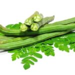 What are the Health benefits of Drumstick( Moringa) and How Can I Incorporate It into My Diet?