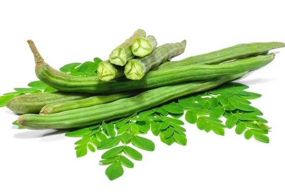 What are the Health benefits of Drumstick( Moringa) and How Can I Incorporate It into My Diet?