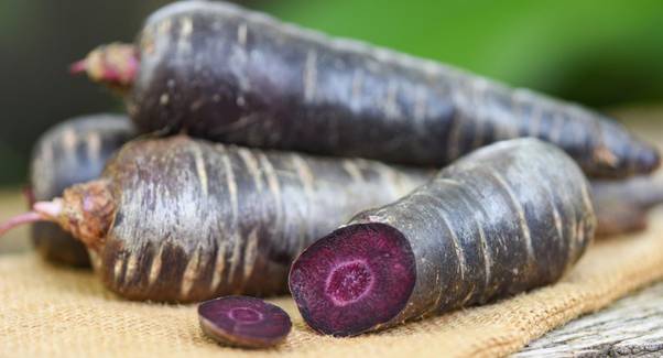 What are the health benefits of black carrots?