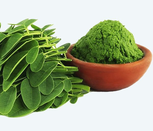 Is Moringa beneficial for the brain?