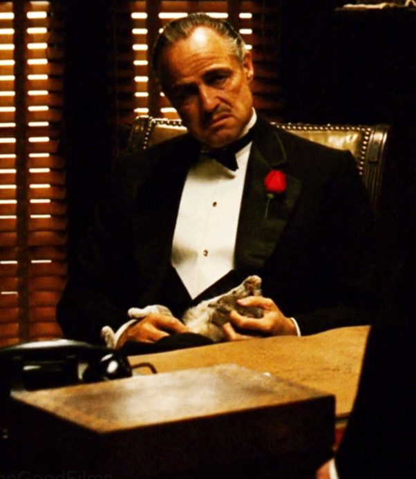 Why was Vito Corleone so respected?